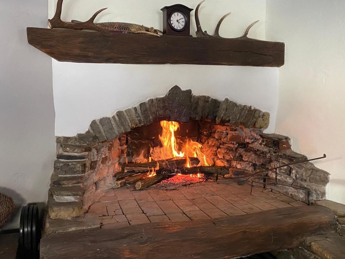 Hisa Brdo Guesthouse&Motorcycle Tours Tolmin Extérieur photo