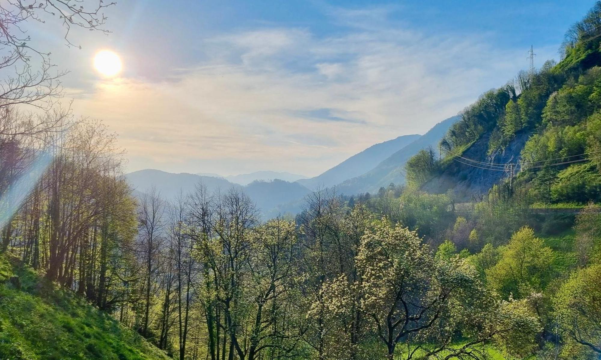 Hisa Brdo Guesthouse&Motorcycle Tours Tolmin Extérieur photo